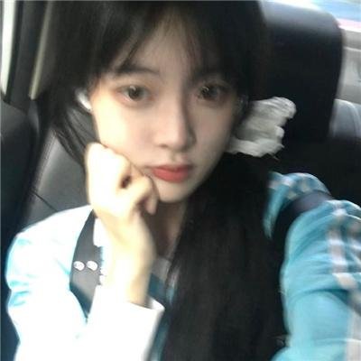 野生动物:无与伦比的有袋动物-树袋熊